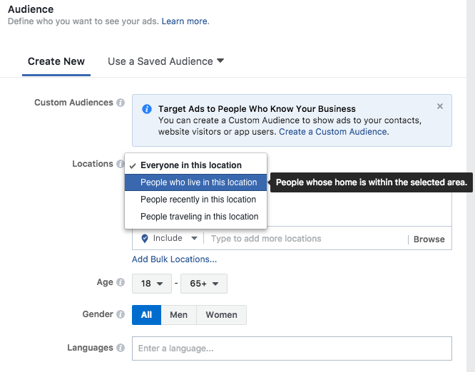 Screen Grab of the Facebook Custom Audience Feature